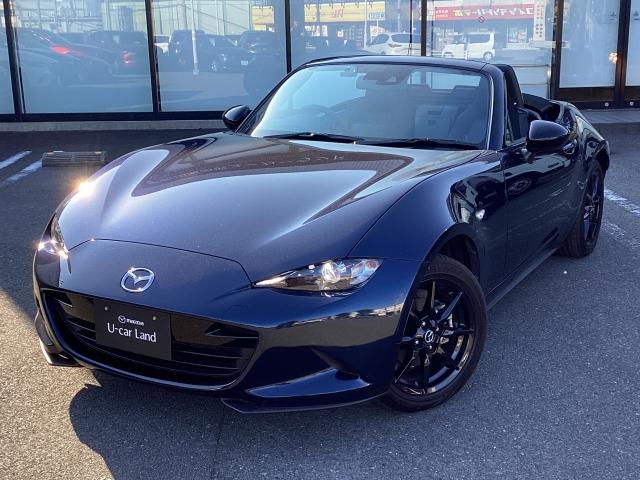 �y�ʌy���ȑ�������Њ��\���Ă݂Ă��������I