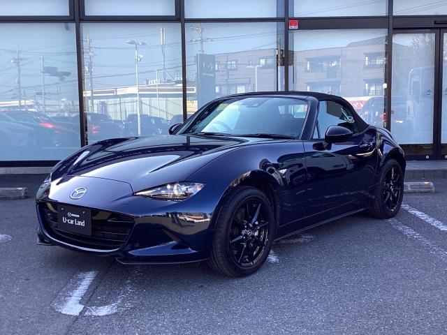 �z�Ƃ����ْ����ƃX�s�[�h���A�͋����A������������\�������I�ő��݊��̂���}�c�_�̍����f�U�C���I�����̂ނقǔ������X�^�C�����O�ł��B