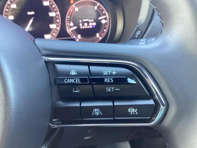 �y�}�c�_���[�_�[�N���[�Y�R���g���[���z�~���g���[�_�[�Œᑬ��`������܂ŁA��s�ԂƂ̎ԊԂ��ێ����Ȃ���Ǐ]���s���\�ɂ��܂��B���������s�ȂǂŃh���C�o�[�̕��S���y�����܂��B