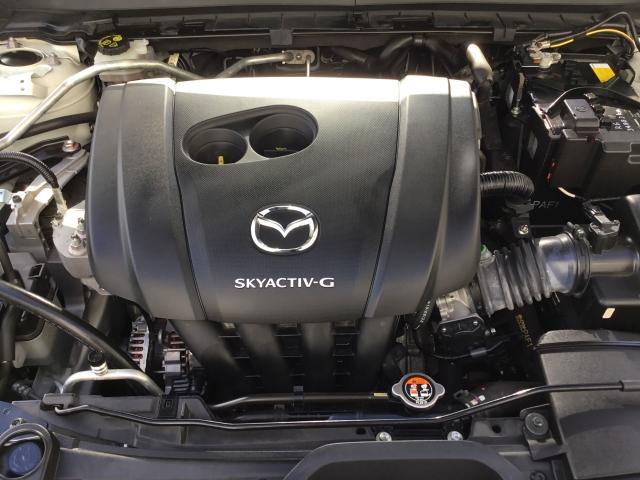 ＣＸ－３０ ２．０　２０Ｓ　Ｌパッケージ　スマートブレーキ　１オーナー　Ｂｌｕｅｔｏｏｔｈ対応　ＬＫＡＳ　本革シート　地デジ　クリソナ　点検記録簿　アドバンストキー　ＤＶＤ　ナビＴＶ　Ｄレコ　横滑り防止装置　ＬＥＤヘッドライト　シートヒーター（30枚目）