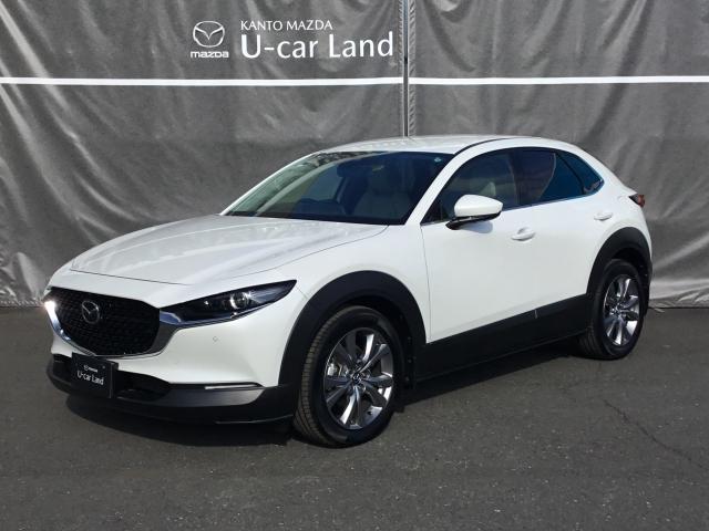 ＣＸ－３０ ２．０　２０Ｓ　Ｌパッケージ　スマートブレーキ　１オーナー　Ｂｌｕｅｔｏｏｔｈ対応　ＬＫＡＳ　本革シート　地デジ　クリソナ　点検記録簿　アドバンストキー　ＤＶＤ　ナビＴＶ　Ｄレコ　横滑り防止装置　ＬＥＤヘッドライト　シートヒーター（35枚目）