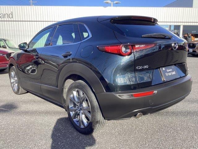 ＣＸ－３０ ２．０　２０Ｓ　プロアクティブ　ツーリングセレクション　ワンオーナー　オートエアコン　レーンキープアシスト　オートライト　ＬＥＤヘッドランプ　電動シート　地デジ　ＴＶ　ＥＴＣ　シートヒーター　Ｂｌｕｅｔｏｏｔｈ　クリアランスソナー　電動リアゲート　ＭＲＣＣ（23枚目）