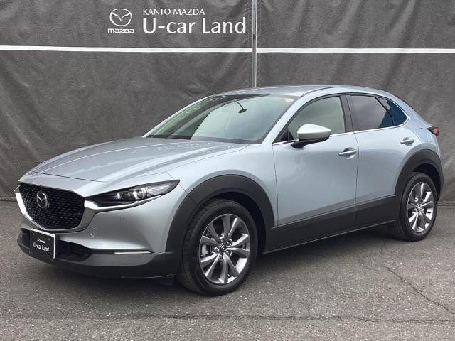 ＣＸ－３０ ２．０　２０Ｓ　プロアクティブ　ツーリングセレクション　レーダークルーズＣ　車線逸脱防止　ナビＴＶ　ＤＶＤプレーヤー　フルセグＴＶ　アドバンスドキー　Ｐシート　ＬＥＤヘッドライト　Ｓヒーター　キーレス　ミュージックプレイヤー接続可　横滑り防止機能　記録簿（35枚目）