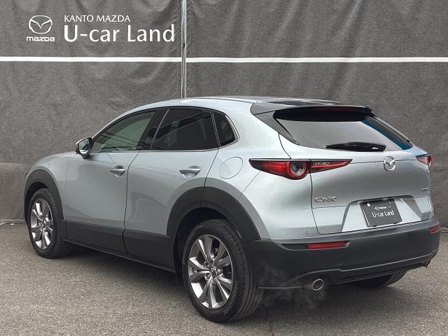 ＣＸ－３０ ２．０　２０Ｓ　プロアクティブ　ツーリングセレクション　レーダークルーズＣ　車線逸脱防止　ナビＴＶ　ＤＶＤプレーヤー　フルセグＴＶ　アドバンスドキー　Ｐシート　ＬＥＤヘッドライト　Ｓヒーター　キーレス　ミュージックプレイヤー接続可　横滑り防止機能　記録簿（37枚目）