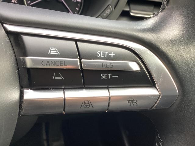 �l�q�b�b�i�}�c�_���[�_�[�N���[�Y�R���g���[���j�͐�s�ԂƂ̎ԊԂ��ێ����Ȃ���Ǐ]���s���s���A�������ł̃h���C�o�[���S���y�������Ă���܂��B