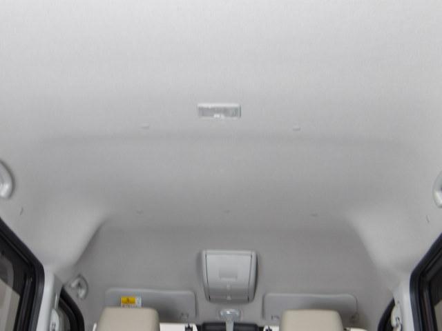 �V��ɂ͖ڗ������V�~���������ꂢ�ȏ�Ԃł�