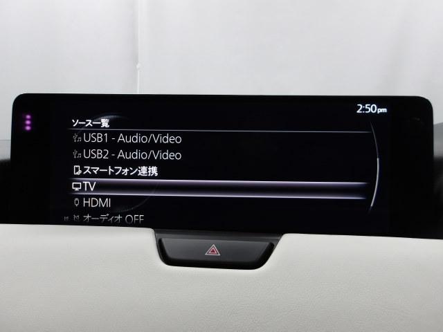 ���[�J�[�I�v�V�����s�u�`���[�i�[�t�I