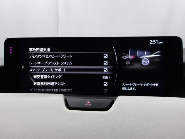 �Ԃ��Q�������łȂ��l�����m���A�u���[�L���������䂵�ďՓˉ�����T�|�[�g���Ă����A�h�o���X�g�E�X�}�[�g�E�V�e�B�E�u���[�L�E�T�|�[�g�𑕔��I