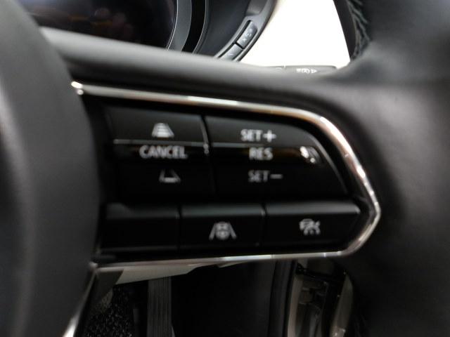 �l�q�b�b�i�}�c�_���[�_�[�N���[�Y�R���g���[���j�͐�s�ԂƂ̎ԊԂ��ێ����Ȃ���Ǐ]���s���s���A�������ł̃h���C�o�[���S���y�������Ă���܂��B