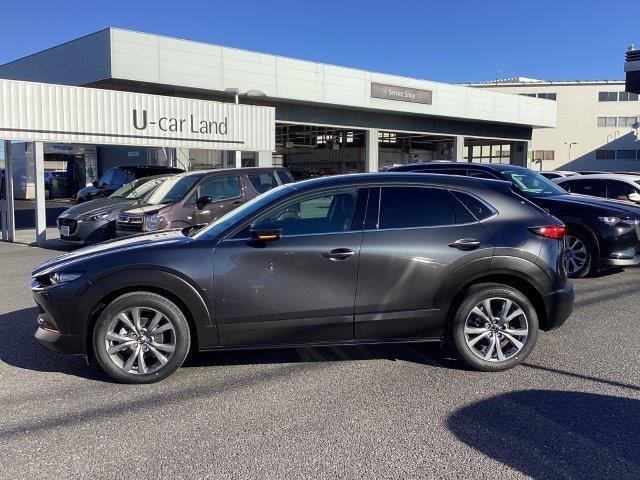 ＣＸ－３０ ２．０　２０Ｓ　ツーリング　ブラックレザーｐｋｇ　当社試乗車　衝突軽減ブレーキ　クリアランスソナー　フルセグＴＶ　レーダークルーズ　パワーシート　オートライト　オートマチックハイビーム　ＬＥＤヘッドランプ　シートヒーター　ＥＴＣ（18枚目）