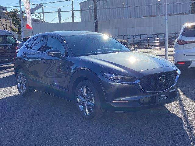 ＣＸ－３０ ２．０　２０Ｓ　ツーリング　ブラックレザーｐｋｇ　当社試乗車　衝突軽減ブレーキ　クリアランスソナー　フルセグＴＶ　レーダークルーズ　パワーシート　オートライト　オートマチックハイビーム　ＬＥＤヘッドランプ　シートヒーター　ＥＴＣ（19枚目）