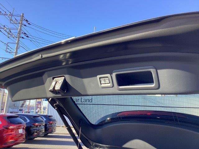 ＣＸ－３０ ２．０　２０Ｓ　ツーリング　ブラックレザーｐｋｇ　当社試乗車　衝突軽減ブレーキ　クリアランスソナー　フルセグＴＶ　レーダークルーズ　パワーシート　オートライト　オートマチックハイビーム　ＬＥＤヘッドランプ　シートヒーター　ＥＴＣ（26枚目）