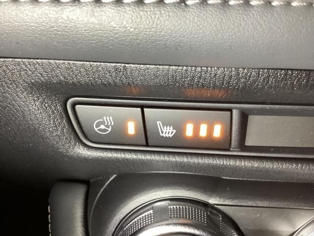 ＣＸ－３ ２．０　２０Ｓ　プロアクティブ　Ｓパッケージ　バックモニター　Ａストップ　運転席パワーシート　エアコン　クリソナ　パワステ　ドラレコ　スマートキー＆プッシュスタート　記録簿　メモリーナビ　地デジ　シートＨ　ＬＥＤヘッド　ＤＶＤ　ナビＴＶ　ＵＳＢ（22枚目）