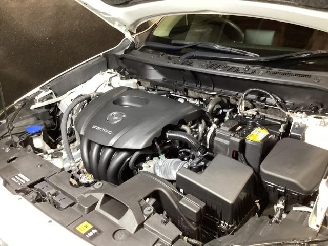 �r�j�x�`�b�s�h�u-�f���ځI�u���ȃp���[�t�B�[���ƒᒆ���̖L���ȃg���N�ɂ����p��ł̈����Ղ��𐥔�̊����ĉ������I