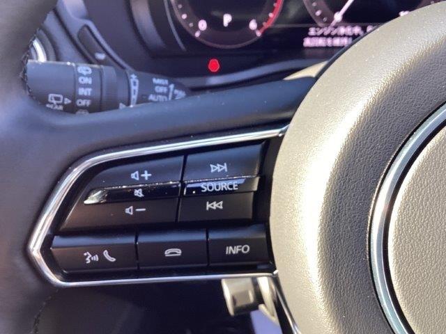 ＣＸ－８０ ３．３　ＸＤ　Ｌパッケージ　ディーゼルターボ　当社試乗車　デモカーＵＰ　レーンアシスト　フルセグＴＶ　電動リアゲート　レザーシート　全周囲カメラ　パワーシート　スマートキー　アイドリングストップ　オートライト　アダプティブクルーズコントロール（10枚目）