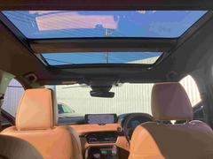 ����Ū�ʻ볦�����뤵��¸������緿�ΥѥΥ�ޥ���롼�ա��ɥ饤�С������Ǥʤ������Ƥξ�������봿�Ӥ�ڤ������󶡤������ޤ��� 7