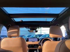 �ڥѥΥ�ޥ���롼�ա۳���Ū�ʻ볦�����뤵��¸������緿�ΥѥΥ�ޥ���롼�ա��ɥ饤�С������Ǥʤ������Ƥξ�������봿�Ӥ�ڤ������󶡤������ޤ��� 5