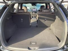 ���ʥ��󥿡���ʬ���ݤ������֤Ǥ������;�֤Ǥ�Ĺ��ʪ�򤷤ä���ܤ����ޤ��͡� 7