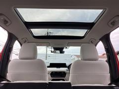 �ڥѥΥ�ޥ���롼�ա۳���Ū�ʻ볦�����뤵��¸������緿�ΥѥΥ�ޥ���롼�ա��ɥ饤�С������Ǥʤ������Ƥξ�������봿�Ӥ�ڤ������󶡤������ޤ��� 6