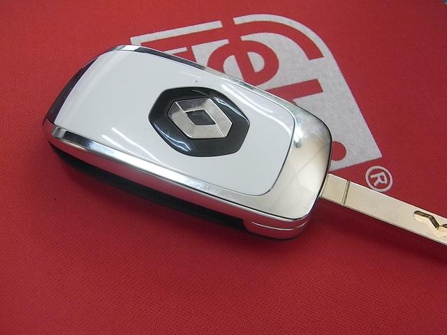 カングー オーセンティック　ラプター塗装仕上げ済　ナビ　フルセグＴＶ　Ｂｌｕｅｔｏｏｔｈ　バックカメラ　マルチルーフレール　オートクルーズ　ＥＴＣ　オーセンティック専用ブラック内装　タイミングベルトウォーターポンプ交換済　禁煙車（48枚目）