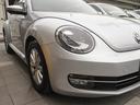 VOLKSWAGEN THE BEETLE