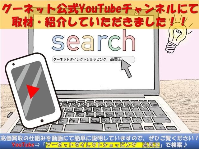 モデル３ パフォーマンス　Ｂｌｕｅｔｏｏｔｈ対応ディスプレイオーディオ　ｙｏｕｔｕｂｅ系動画配信サイト視聴可能　純正２０インチアルミホイール　スマホ置くだけ充電　家庭用充電器有　カーボンドアミラースポイラー　正規ディーラー車（29枚目）