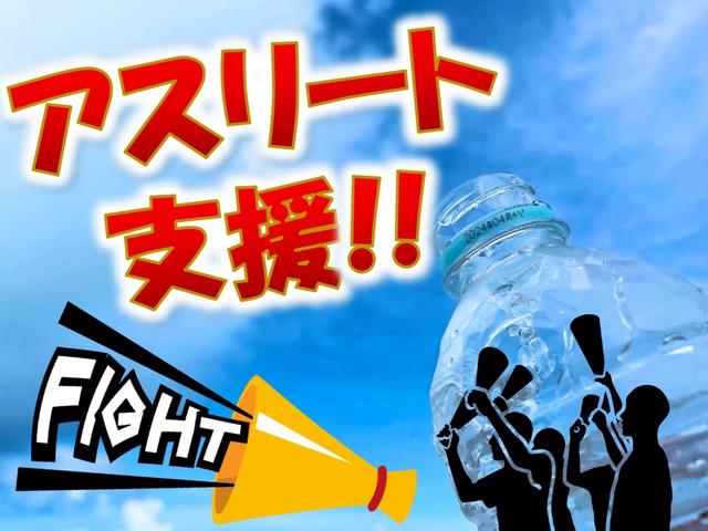ハイエースバン ロングスーパーＧＬ　Ｂｌｕｅｔｏｏｔｈ対応ナビ　フリップダウンモニター　前後ドラレコ　ＥＴＣ　ｎｅｒｕ海ベッドキット　フロントエアロ　ブロックローダウン　ＢＡＲＢＥＲＯ１７インチＡＷ　ＯＢＤ診断済み　グー鑑定書付き（50枚目）