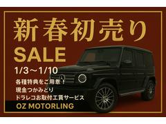 ��������ǯ�������⡼�������Ը��ס�����������Ĥ��߼�ꡦ�ɥ�쥳���չ��¥����ӥ��������ƥ��󥰺��磵����ϣƣƤ��ݾڥץ��ʤɥ��ץ���󽼼¡����������ͭ������Ǽ�֣ϣˡ�������紿�ޡ� 2