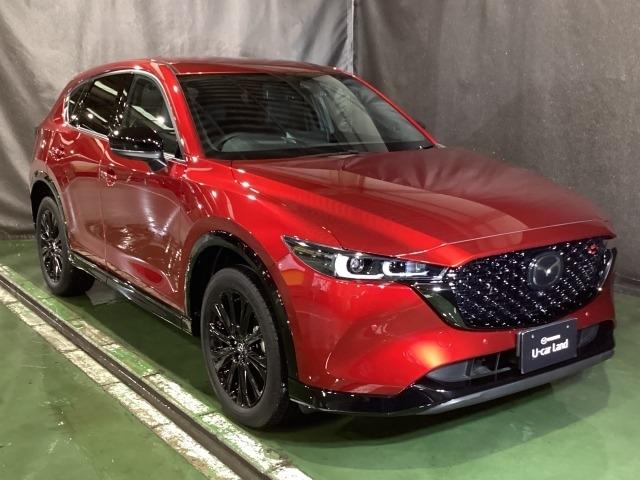 CX-5 2.5 25S スポーツ アピアランス 追従走行 DSC 地デジ 本革 LEDヘッドライト ETC車載器 TV Pシート BTオーディオ オートエアコン ドライブレコーダー Pセンサー アドバンスドキー オートライト 記録簿 シートヒーター(39枚目)