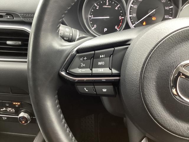 ＣＸ－５ ２．２　ＸＤ　Ｌパッケージ　ディーゼルターボ　４ＷＤ　３６０°ビューモニター　ＥＴＣ　電動リアゲート　Ｂｌｕｅｔｏｏｔｈ　ＢＯＳＥ　パワーバックゲート　レーダーＣ　ＬＫＡ　１オーナー　エアコン　リアカメラ　本革　ＢＴ接続　キーフリー　電動パワーシート（22枚目）