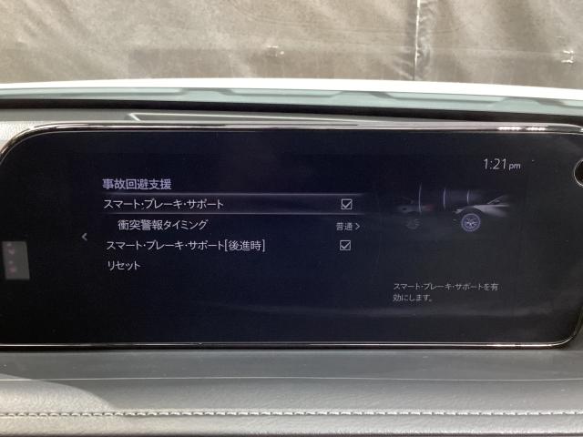ＣＸ－３０ ２．０　２０Ｓ　１００周年　特別記念車　４ＷＤ　ＢＯＳＥサウンド　赤本革シート　３６０°ビューモニター　ナビ　地デジ　ＥＴＣ　レーダークルーズ　衝突被害軽減ブレーキ　ＡＬＨ付ＬＥＤライト　運転席電動シート　シートヒーター　ハンドルヒーター（15枚目）