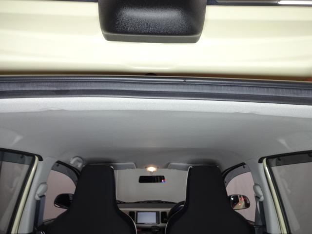 天井には目立つ汚れやシミも無くきれいな状態です