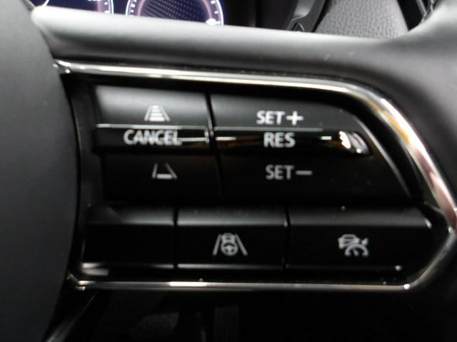 �l�q�b�b�i�}�c�_���[�_�[�N���[�Y�R���g���[���j�͐�s�ԂƂ̎ԊԂ��ێ����Ȃ���Ǐ]���s���s���A�������ł̃h���C�o�[���S���y�������Ă���܂��B