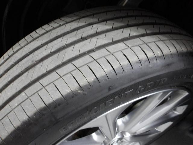 �e�^�C���̍a�������Ղ�V�~���c���Ă���܂��B