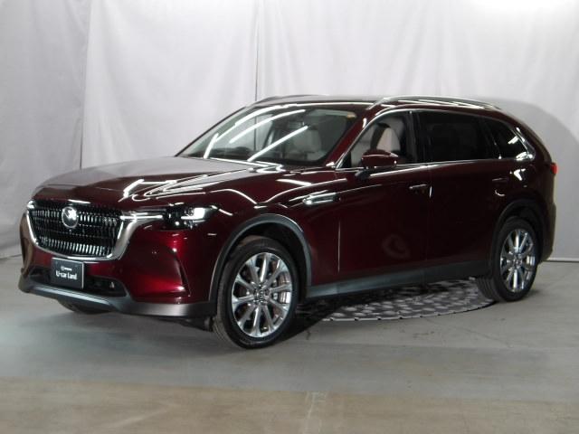 �[��ꎞ��A�������g���l���ȂǁA�w�b�h���C�g�_�E�����̔ς킵������J�����Ă����I�[�g���C�g����������Ă��܂��B