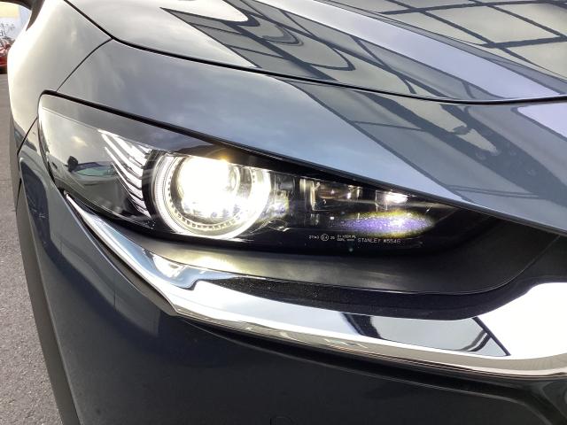 ＣＸ－３０ １．８　ＸＤ　プロアクティブ　ディーゼルターボ　３６０°セーフティＰＫＧ　ナビ　地デジ　ＤＶＤ再生　ＩＲカットガラス　ＡＬＨ　レーンキープアシスト　ＥＴＣ　キーフリ　Ｂモニター　衝突被害軽減　フルセグ　パワーバックドア　アイドリングストップ　ターボ（32枚目）