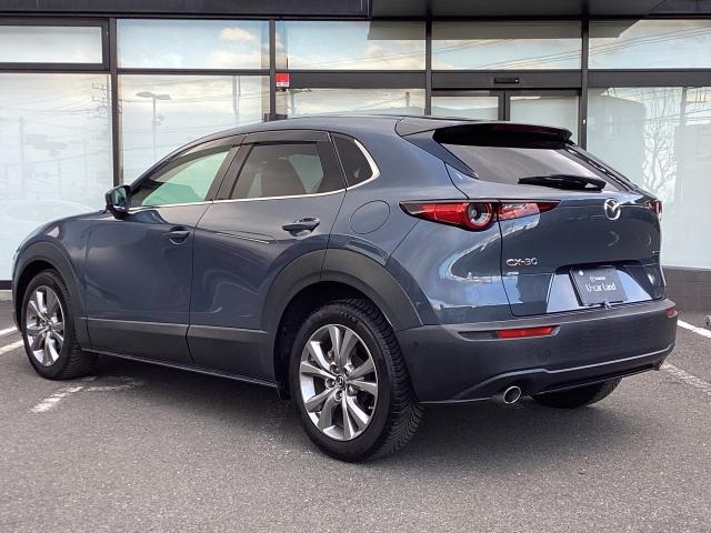 ＣＸ－３０ １．８　ＸＤ　プロアクティブ　ディーゼルターボ　３６０°セーフティＰＫＧ　ナビ　地デジ　ＤＶＤ再生　ＩＲカットガラス　ＡＬＨ　レーンキープアシスト　ＥＴＣ　キーフリ　Ｂモニター　衝突被害軽減　フルセグ　パワーバックドア　アイドリングストップ　ターボ（37枚目）