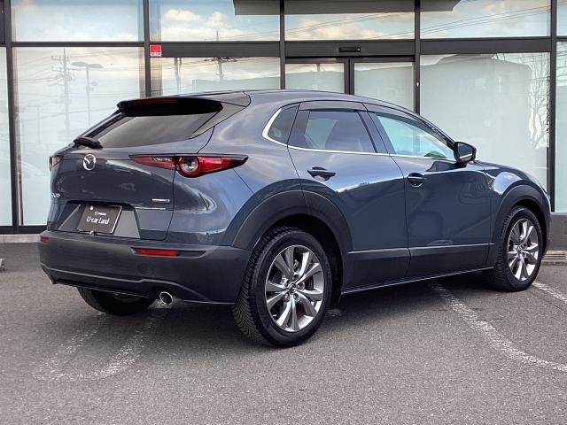 ＣＸ－３０ １．８　ＸＤ　プロアクティブ　ディーゼルターボ　３６０°セーフティＰＫＧ　ナビ　地デジ　ＤＶＤ再生　ＩＲカットガラス　ＡＬＨ　レーンキープアシスト　ＥＴＣ　キーフリ　Ｂモニター　衝突被害軽減　フルセグ　パワーバックドア　アイドリングストップ　ターボ（38枚目）