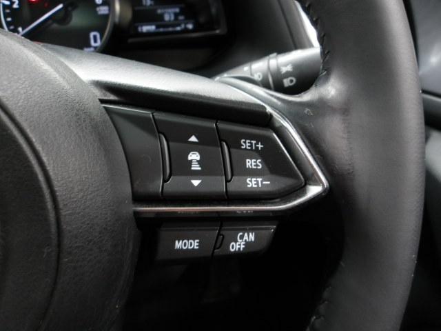 �l�q�b�b�i�}�c�_���[�_�[�N���[�Y�R���g���[���j�͐�s�ԂƂ̎ԊԂ��ێ����Ȃ���Ǐ]���s���s���A�������ł̃h���C�o�[���S���y�������Ă���܂��B