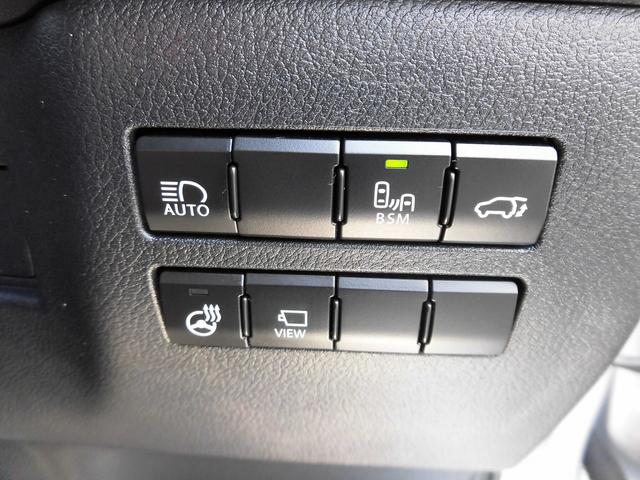 NX300 Fスポーツ 後期 マクレビ 本革 レーダーC(14枚目)