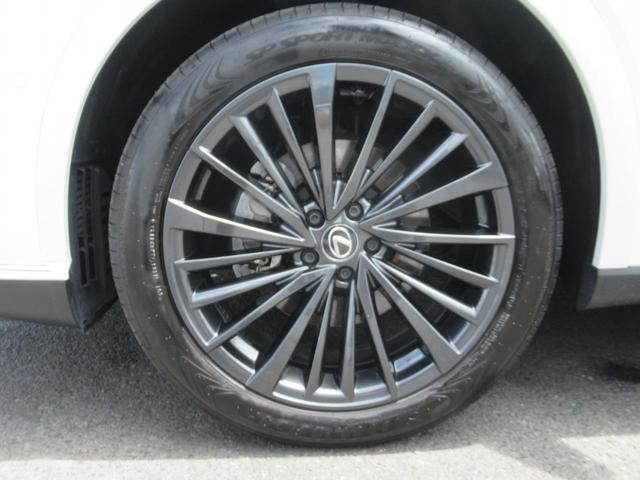 ＲＸ ＲＸ３５０ｈ　バージョンＬ　セミアニリン本革・全席エアシート・パノラミックビュー・１４インチナビ・フルセグ・アドバンスドパーク・ＨＵＤ・パワーバックドア・輻射ヒーター・デジタルインナーミラー・純正２１ＡＷ・ＬＥＤ・パドルシフト（58枚目）