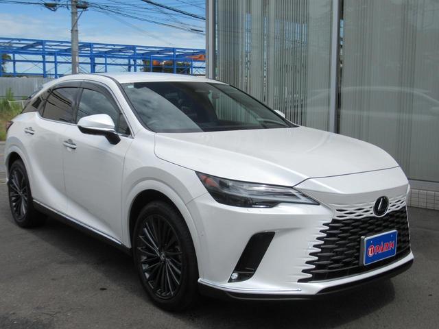 ＲＸ ＲＸ３５０ｈ　バージョンＬ　セミアニリン本革・全席エアシート・パノラミックビュー・１４インチナビ・フルセグ・アドバンスドパーク・ＨＵＤ・パワーバックドア・輻射ヒーター・デジタルインナーミラー・純正２１ＡＷ・ＬＥＤ・パドルシフト（62枚目）