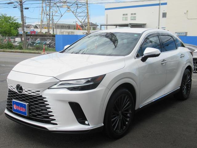 ＲＸ ＲＸ３５０ｈ　バージョンＬ　セミアニリン本革・全席エアシート・パノラミックビュー・１４インチナビ・フルセグ・アドバンスドパーク・ＨＵＤ・パワーバックドア・輻射ヒーター・デジタルインナーミラー・純正２１ＡＷ・ＬＥＤ・パドルシフト（64枚目）