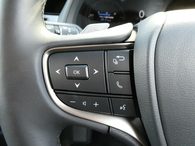 ＵＸ ＵＸ３００ｈ　バージョンＣ　後期・１オーナー・Ｌ－ＴＥＸレザー・ＳＲ・パノラミックビュー・１２．３インチタッチパネルナビ・フルセグ・カープレイ・セーフティＳ・ＬＥＤヘッド・シートヒーター・パドルシフト・純正ドラレコ・ＥＴＣ２．０（30枚目）