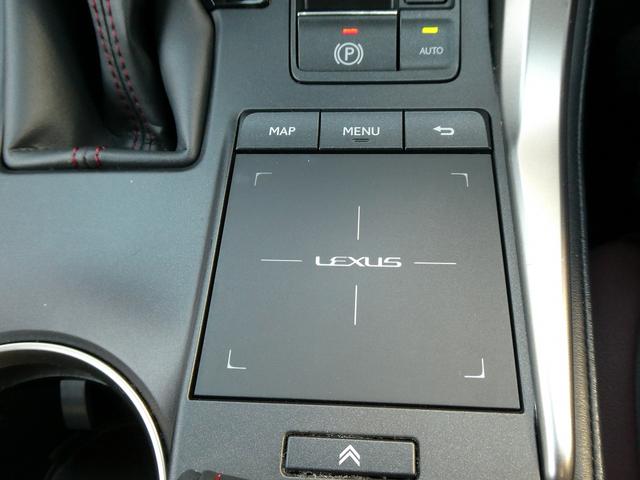 ＮＸ ＮＸ３００　スパイス＆シック　後期・黒革Ｌ－ＴＥＸエアシート・パノラマルーフ・パノラミックビュー・３眼ＬＥＤ・純正ナビ・フルセグ・後席モニター・同色フェンダー・専用内装色・パワーバックドア・ＢＳＭ・セーフティＳ・オートＨＩビーム（28枚目）