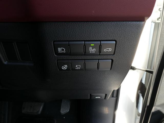 ＮＸ ＮＸ３００　スパイス＆シック　後期・黒革Ｌ－ＴＥＸエアシート・パノラマルーフ・パノラミックビュー・３眼ＬＥＤ・純正ナビ・フルセグ・後席モニター・同色フェンダー・専用内装色・パワーバックドア・ＢＳＭ・セーフティＳ・オートＨＩビーム（41枚目）