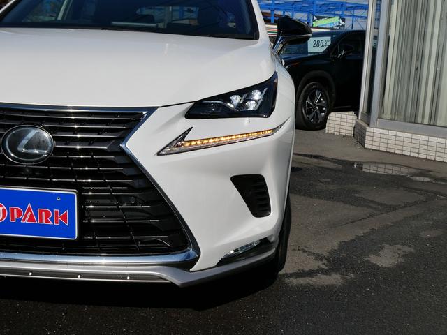 ＮＸ ＮＸ３００　スパイス＆シック　後期・黒革Ｌ－ＴＥＸエアシート・パノラマルーフ・パノラミックビュー・３眼ＬＥＤ・純正ナビ・フルセグ・後席モニター・同色フェンダー・専用内装色・パワーバックドア・ＢＳＭ・セーフティＳ・オートＨＩビーム（54枚目）