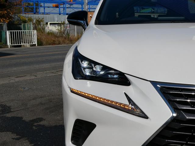 ＮＸ ＮＸ３００　スパイス＆シック　後期・黒革Ｌ－ＴＥＸエアシート・パノラマルーフ・パノラミックビュー・３眼ＬＥＤ・純正ナビ・フルセグ・後席モニター・同色フェンダー・専用内装色・パワーバックドア・ＢＳＭ・セーフティＳ・オートＨＩビーム（55枚目）