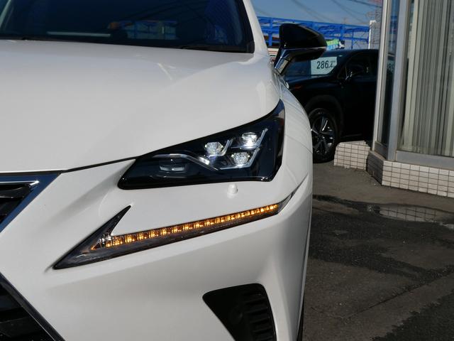 ＮＸ ＮＸ３００　スパイス＆シック　後期・黒革Ｌ－ＴＥＸエアシート・パノラマルーフ・パノラミックビュー・３眼ＬＥＤ・純正ナビ・フルセグ・後席モニター・同色フェンダー・専用内装色・パワーバックドア・ＢＳＭ・セーフティＳ・オートＨＩビーム（56枚目）