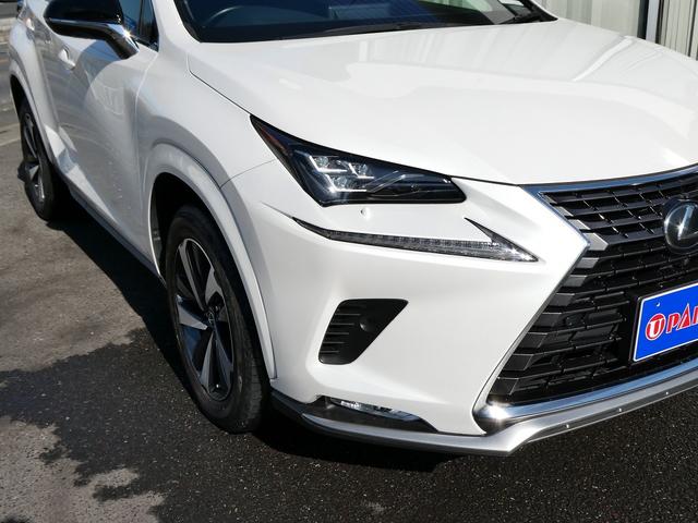 ＮＸ ＮＸ３００　スパイス＆シック　後期・黒革Ｌ－ＴＥＸエアシート・パノラマルーフ・パノラミックビュー・３眼ＬＥＤ・純正ナビ・フルセグ・後席モニター・同色フェンダー・専用内装色・パワーバックドア・ＢＳＭ・セーフティＳ・オートＨＩビーム（57枚目）